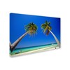 Trademark Fine Art Robert Harding Picture Library 'Palm Trees 1' Canvas Art, 22x32 ALI18634-C2232GG